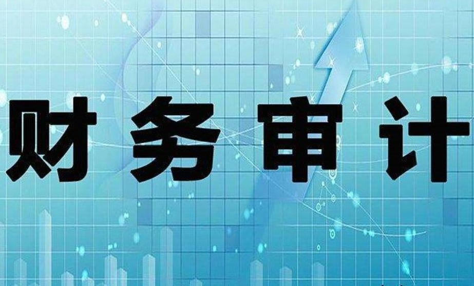 公司順利完成2023年度財(cái)務(wù)審計(jì)工作